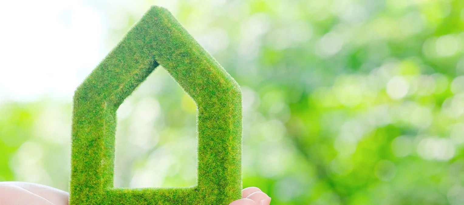 Tendencias en pinturas y soluciones innovadoras para el sector de la construcción en 2025