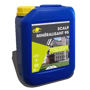 Scalp Mineralizante 95