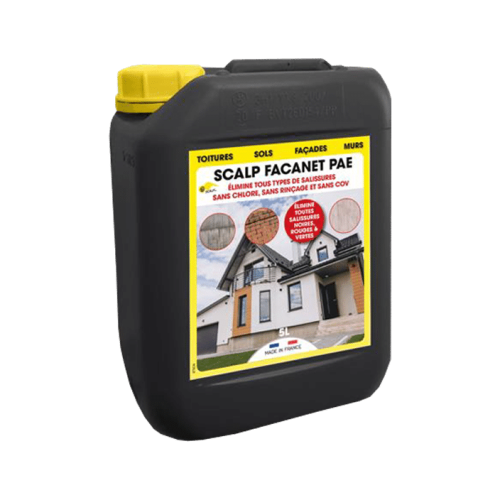 scalp-facanet-pae