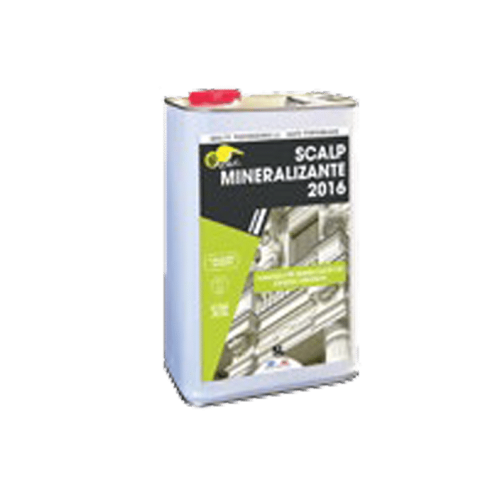 scalp-mineralizante-2016